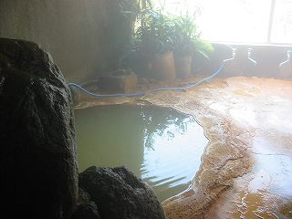 赤城温泉総本家の内湯